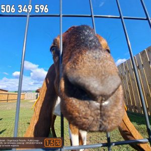 nowa studnica weekend 10-23 (31)