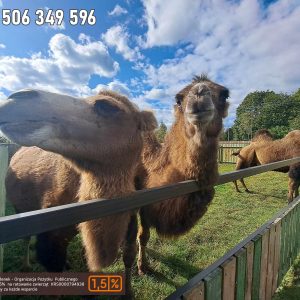 nowa studnica weekend 10-23 (32)