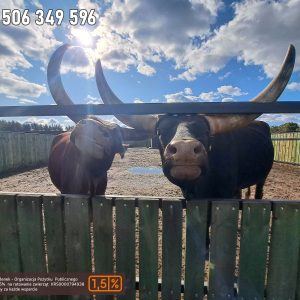 nowa studnica weekend 10-23 (34)