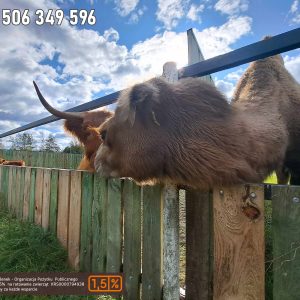 nowa studnica weekend 10-23 (35)