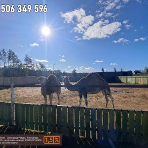 nowa studnica weekend 10-23 (39)