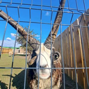 nowa studnica weekend 10-23 (41)