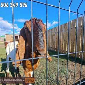 nowa studnica weekend 10-23 (42)