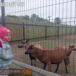 nowa studnica weekend 10-23 (5)