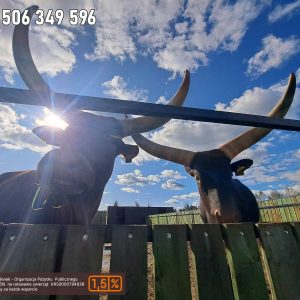 nowa studnica weekend 10-23 (6)