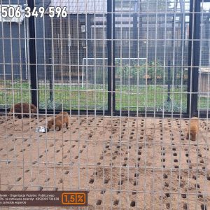 nowa studnica weekend 10-23 (7)