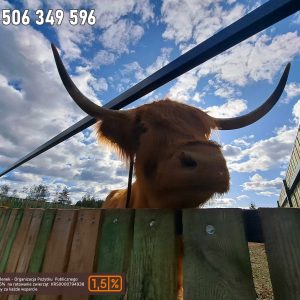 nowa studnica weekend 10-23 (8)