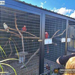 oboz wałcz 6-24 (4)