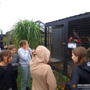 pomoc SP Kalisz Pom (27)