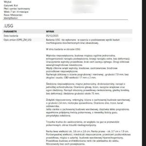 wojtuś usg1